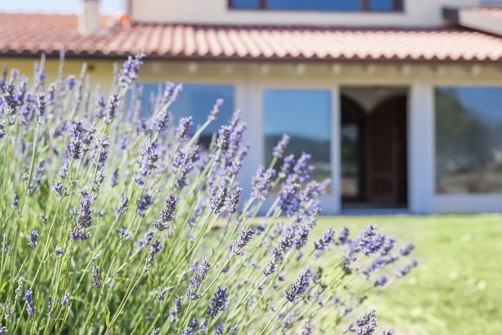 Agriturismo Terre Di Castiglione Castiglione della Pescaia Eksteriør billede