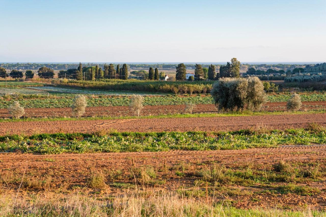 Agriturismo Terre Di Castiglione Castiglione della Pescaia Eksteriør billede