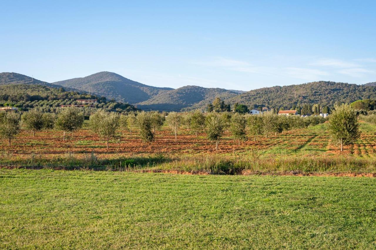 Agriturismo Terre Di Castiglione Castiglione della Pescaia Eksteriør billede