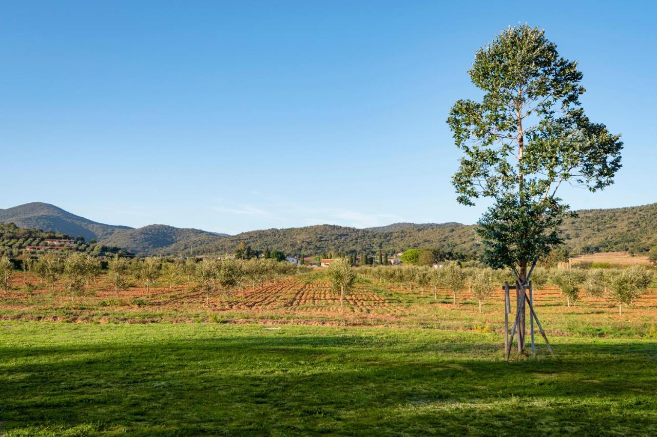 Agriturismo Terre Di Castiglione Castiglione della Pescaia Eksteriør billede