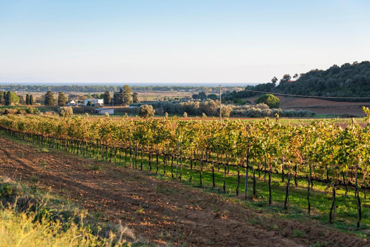 Agriturismo Terre Di Castiglione Castiglione della Pescaia Eksteriør billede