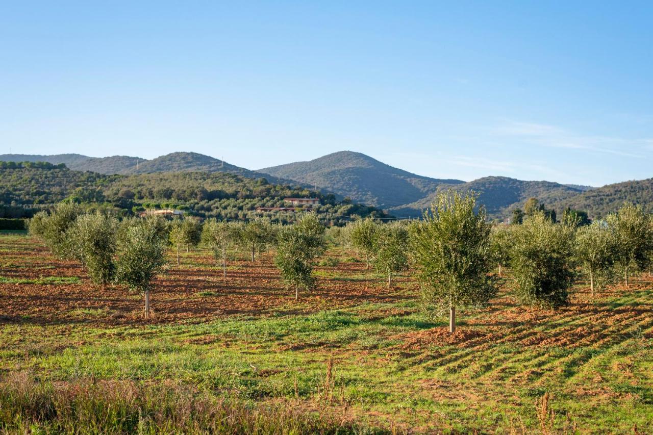 Agriturismo Terre Di Castiglione Castiglione della Pescaia Eksteriør billede